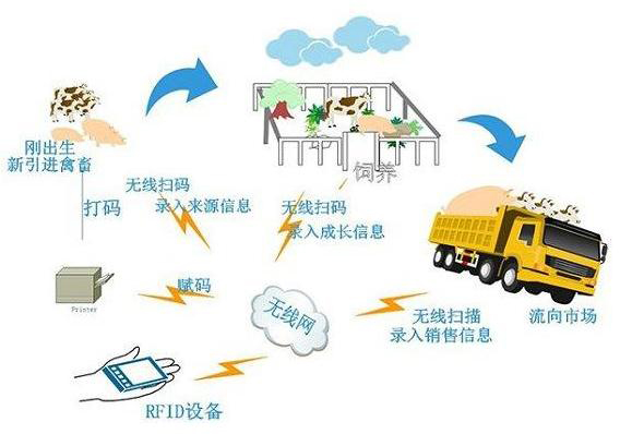 動物耳標流程圖